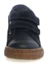 Naturino Leren sneakers "Albus" donkerblauw