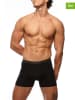 COTONELLA 2er-Set: Boxershorts in Schwarz