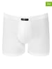 COTONELLA 2-delige set: boxershorts wit