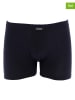 COTONELLA 2-delige set: boxershorts zwart