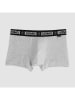 COTONELLA Boxershorts  in Grau