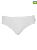 COTONELLA 2-delige set: slips wit