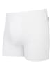 COTONELLA 2-delige set: boxershorts wit