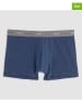 COTONELLA 2er-Set: Boxershorts in Dunkelblau