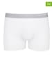 COTONELLA 2er-Set: Boxershorts in Weiß