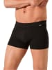 COTONELLA Boxershorts  in Schwarz