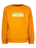RAIZZED® Sweatshirt "Jardy" in Orange