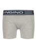 Vingino 7-delige set: boxershorts meerkleurig