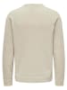 ONLY & SONS Pullover in Beige/ Beige