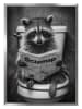 Ars Longa Gerahmter Kunstdruck "Raccoon in the Toilet" - (L)70 x (B)50 cm