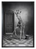 Ars Longa Druk artystyczny "Cleaning Giraffe" w ramce - 70 x 50 cm