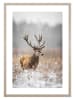 Ars Longa Ingelijste kunstdruk "Deer In Winter Scenery" - (L)70 x (B)50 cm