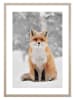 Ars Longa Druk artystyczny "Fox In Winter Scenery" w ramce - 70 x 50 cm