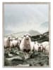 Ars Longa Gerahmter Kunstdruck "Scandinavian Sheep" - (L)70 x (B)50 cm