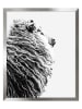 Ars Longa Gerahmter Kunstdruck "Sheep I" - (L)70 x (B)50 cm
