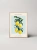 Ars Longa Gerahmter Kunstdruck "Levitating lemons"