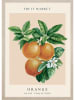 Ars Longa Druk artystyczny "Botanical orange grove" w ramce - 70 x 50 cm