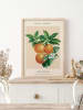 Ars Longa Ingelijste kunstdruk "Botanical orange grove" - (L)70 x (B)50 cm