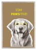Ars Longa Ingelijste kunstdruk "Stay Pawsitive" - (L)70 x (B)50 cm
