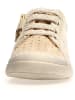 Naturino Leder-Sneakers "Faluk" in Beige/ Gold