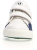 Naturino Leren sneakers "Annie" wit/donkerblauw