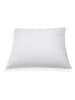 Schäfer Poduszka w kolorze białym