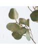 Boltze Dekozweig "Eukalyptus" in Grün - (B)30 x (H)82 cm