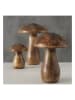 Boltze Figurki dekoracyjne (3 szt.) "Terjol" w kolorze brązowym