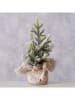Boltze Dekobaum "Tanne" in Grün - (H)22 x Ø 12 cm