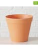 Boltze Osłonki (2 szt.) w kolorze pomarańczowym na doniczkę - wys. 13,5 x Ø 15 cm