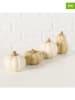 Boltze 4er-Set: Dekoaufsteller "Pumpky" in Creme