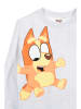 Bluey Longsleeve "Bluey" in Grau
