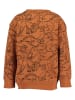 Blue Seven Sweatshirt in Orange