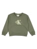 Calvin Klein Sweatshirt kaki