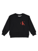 Calvin Klein Sweatshirt zwart