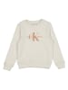 Calvin Klein Sweatshirt in Creme