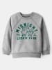carter's Sweatshirt in Grau