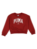 Puma Sweatshirt "Squad" in Rot