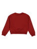 Puma Sweatshirt "Squad" in Rot