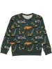 Walkiddy Sweatshirt in Grün