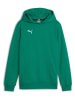 Puma Hoodie groen