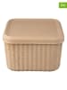 Blomus 2er-Set: Aufbewahrungsboxen "Redo" in Beige - (B)30 x (H)20 cm