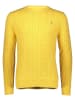 Gant Pullover in Gelb