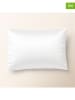 Pierre Cardin Satynowe poszewki (2 szt.) "Iris" w kolorze białym na poduszkę