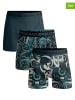 Muchachomalo 3er-Set: Boxershorts in Blau/ Bunt