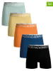 Muchachomalo 5er-Set: Boxershorts in Bunt