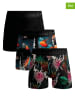 Muchachomalo 3er-Set: Boxershorts in Schwarz/ Bunt