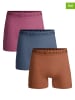 Muchachomalo 3er-Set: Boxershorts in Pink/ Orange/ Blau