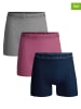 Muchachomalo 3er-Set: Boxershorts in Grau/ Pink/ Dunkelblau