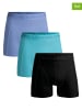 Muchachomalo 3er-Set: Boxershorts in Blau/ Türkis/ Schwarz